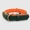 dog collar forest green