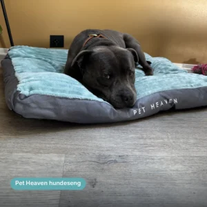 pet-heaven-hundeseng