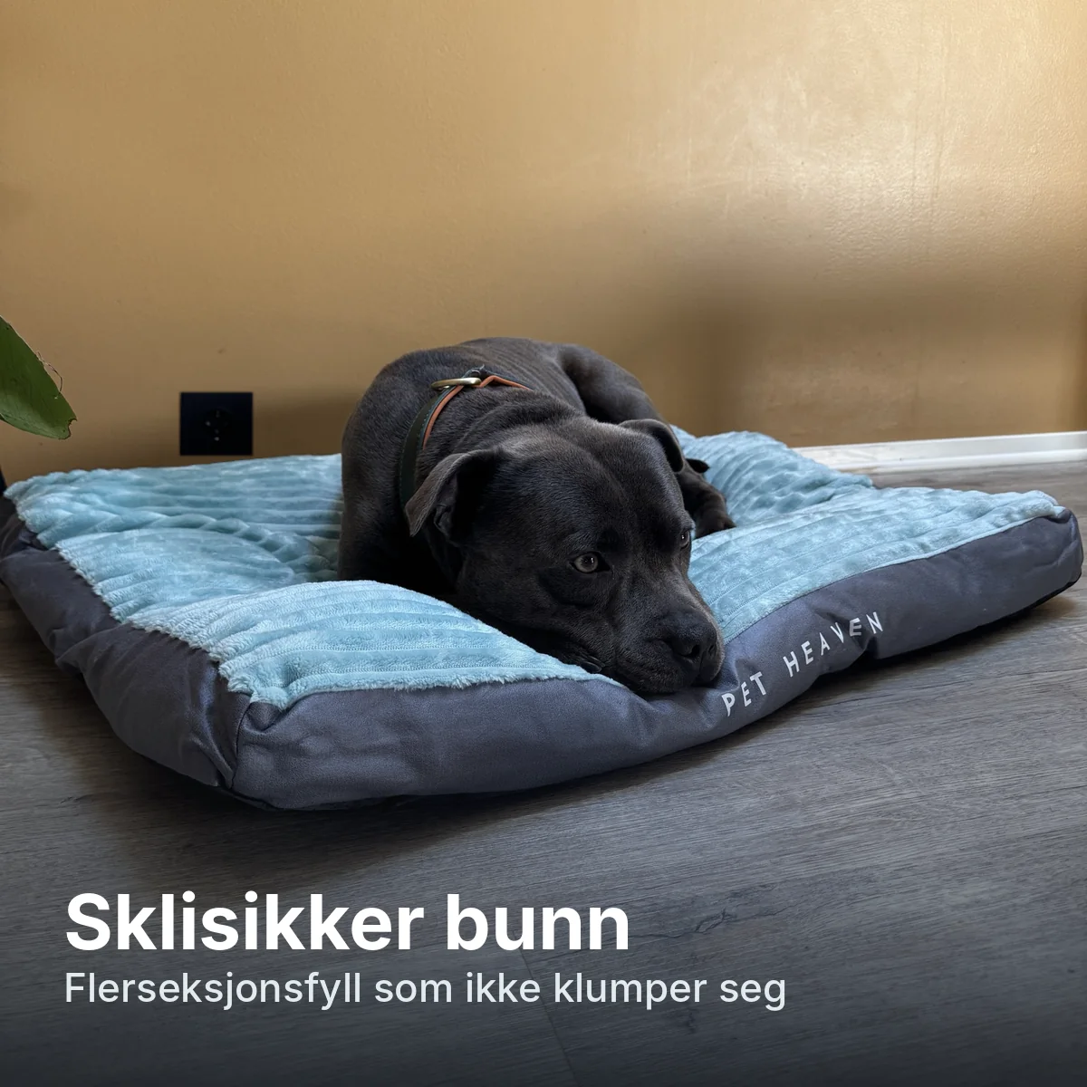 3 bunn fyll Pet Heaven hundeseng med sklisikker bunn