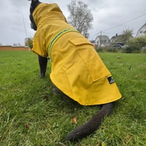 vinisdog-regnjakke-til-hund-med-hette-og-refleks-gul